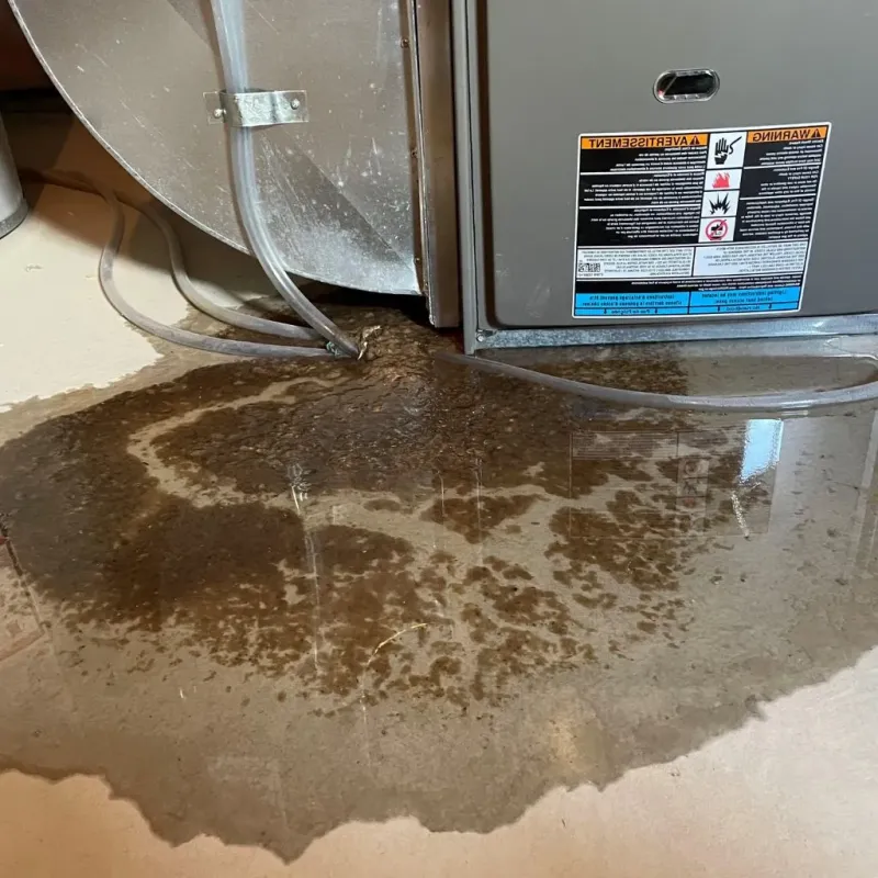 Pipe Burst and Leak Restoration in Hamlin, WV