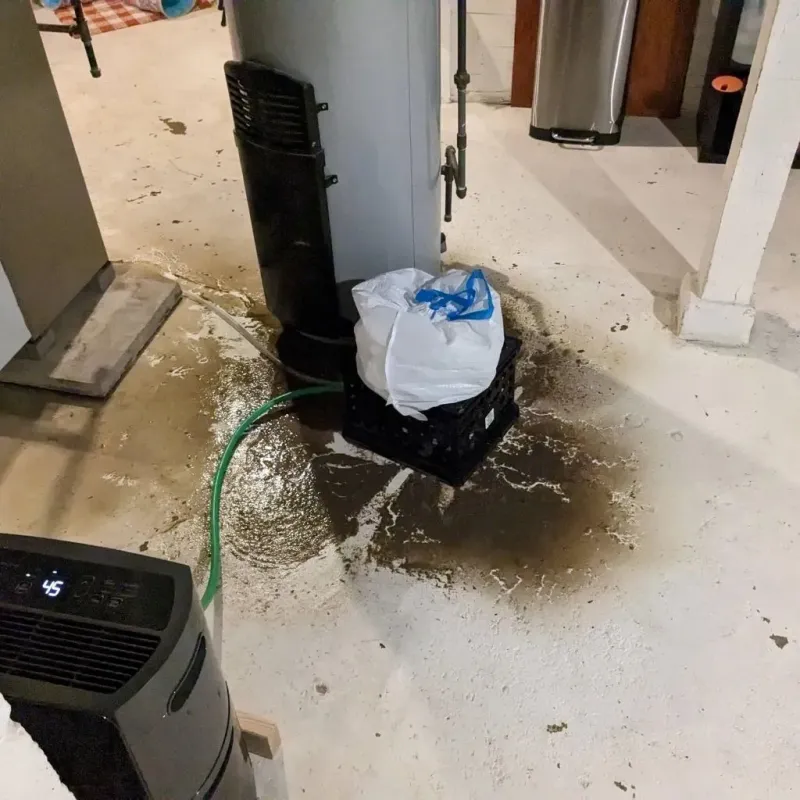Sewage Backup Cleanup Service in Hamlin, WV